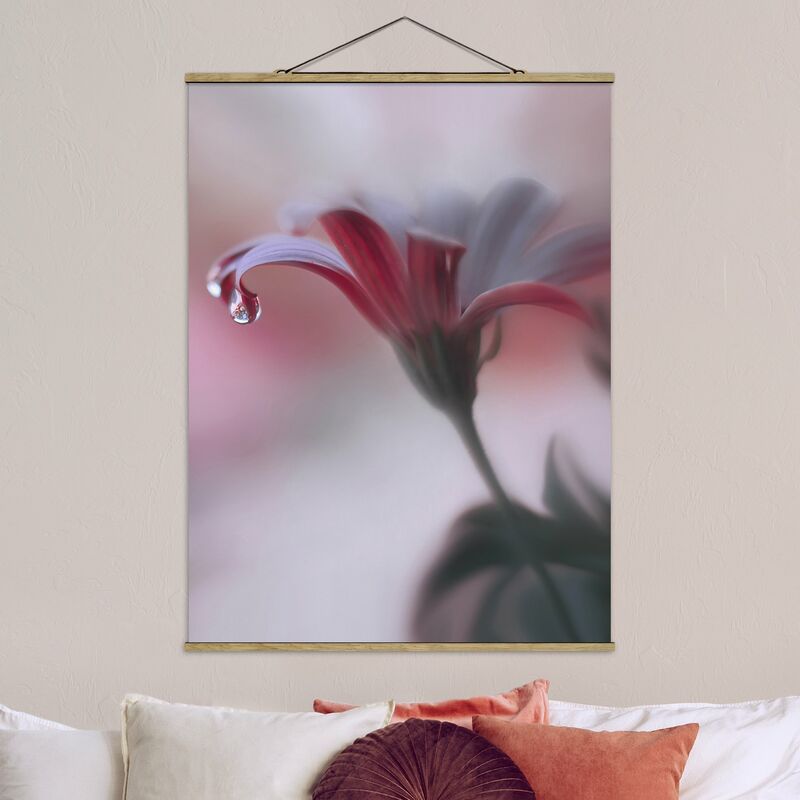 

Imagen de tela - Invisible Touch - Alto 4:3 Dimensión LxA: 133.5cm x 100cm