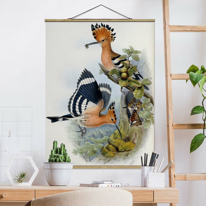

Imagen de tela - John Gould - Hoopoe - Alto 4:3 Dimensión LxA: 106.5cm x 80cm