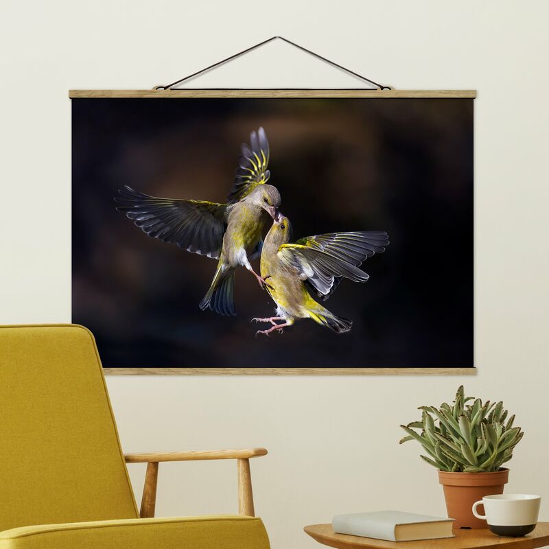

Imagen de tela - Kissing Hummingbirds - Apaisado 2:3 Dimensión LxA: 66.5cm x 100cm