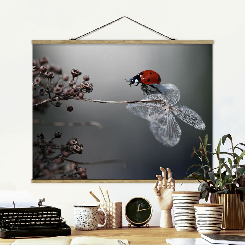 

Imagen de tela - Ladybird On Hydrangea - Apaisado 3:4 Dimensión LxA: 26cm x 35cm