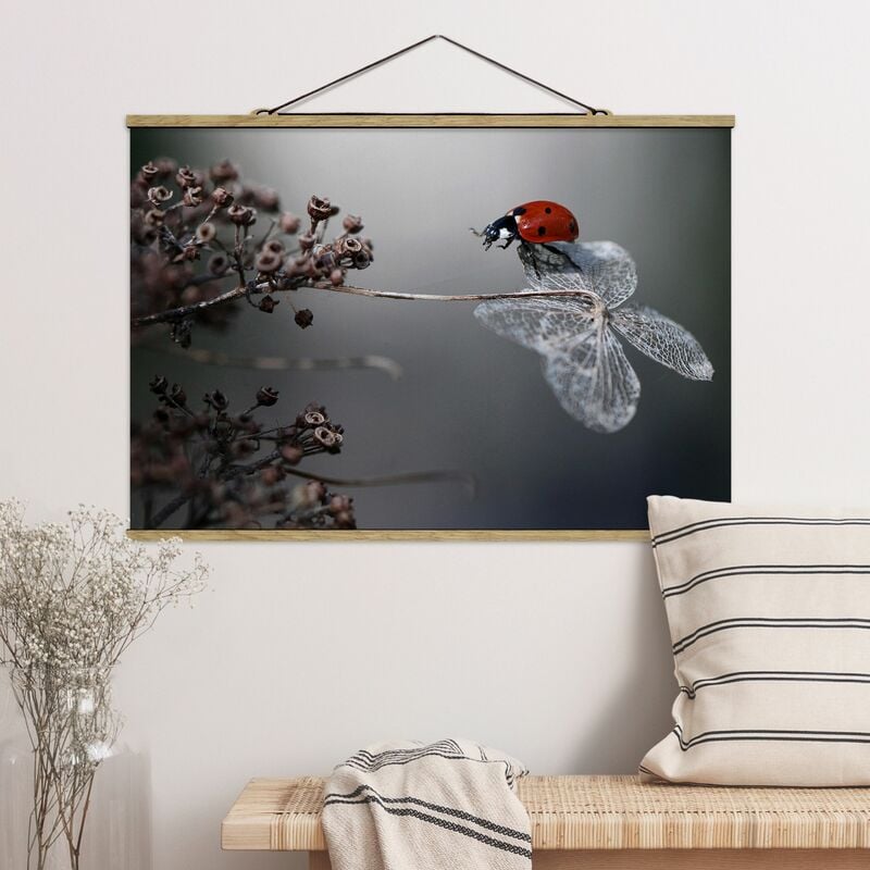 

Imagen de tela - Ladybird On Hydrangea - Apaisado 2:3 Dimensión LxA: 66.5cm x 100cm