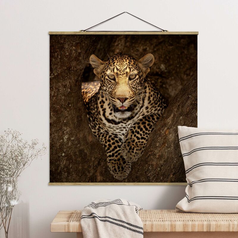 

Imagen de tela - Leopard Resting On A Tree - Cuadrado 1:1 Dimensión LxA: 80cm x 80cm