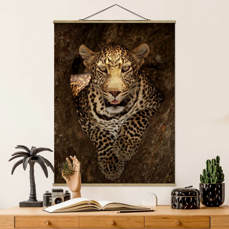 

Imagen de tela - Leopard Resting On A Tree - Alto 4:3 Dimensión LxA: 106.5cm x 80cm