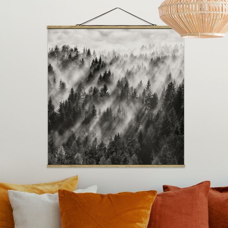 

Imagen de tela - Light Rays In The Coniferous Forest - Cuadrado 1:1 Dimensión LxA: 50cm x 50cm