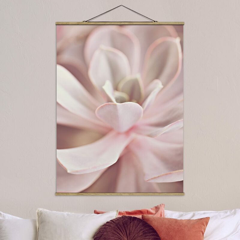 

Imagen de tela - Light Pink Succulent Flower - Alto 4:3 Dimensión LxA: 46.5cm x 35cm