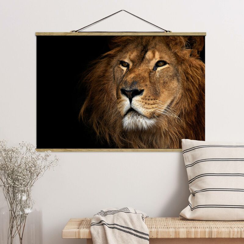 

Imagen de tela - Lions Look - Apaisado 2:3 Dimensión LxA: 53.5cm x 80cm