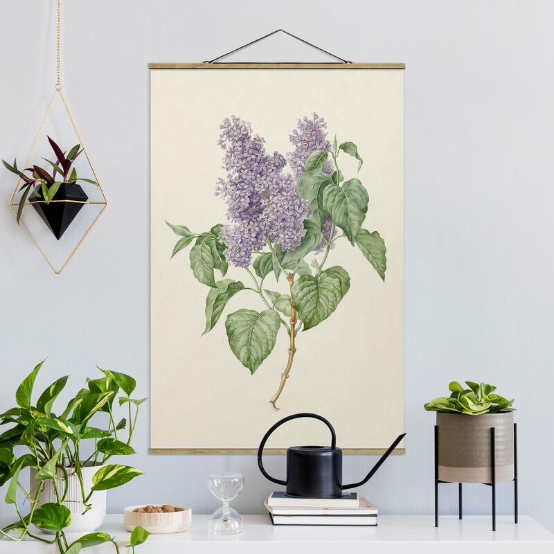 

Imagen de tela - Maria Geertruyd Barber-Snabilie - Lilac - Alto 3:2 Dimensión LxA: 75cm x 50cm