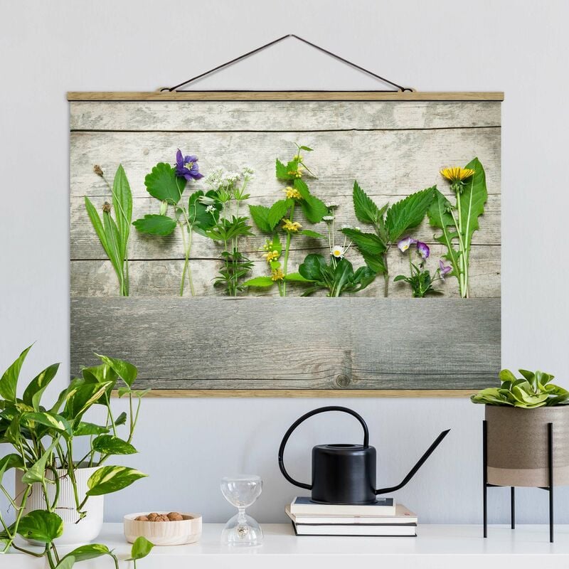 

Imagen de tela - Medicinal And Wild Herbs - Apaisado 2:3 Dimensión LxA: 33.5cm x 50cm