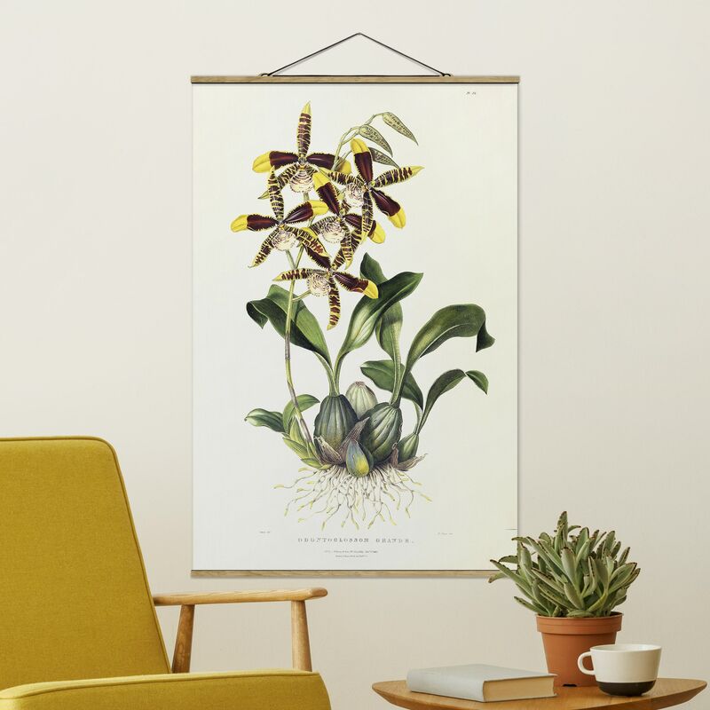 

Imagen de tela - Maxim Gauci - Orchid II - Alto 3:2 Dimensión LxA: 120cm x 80cm