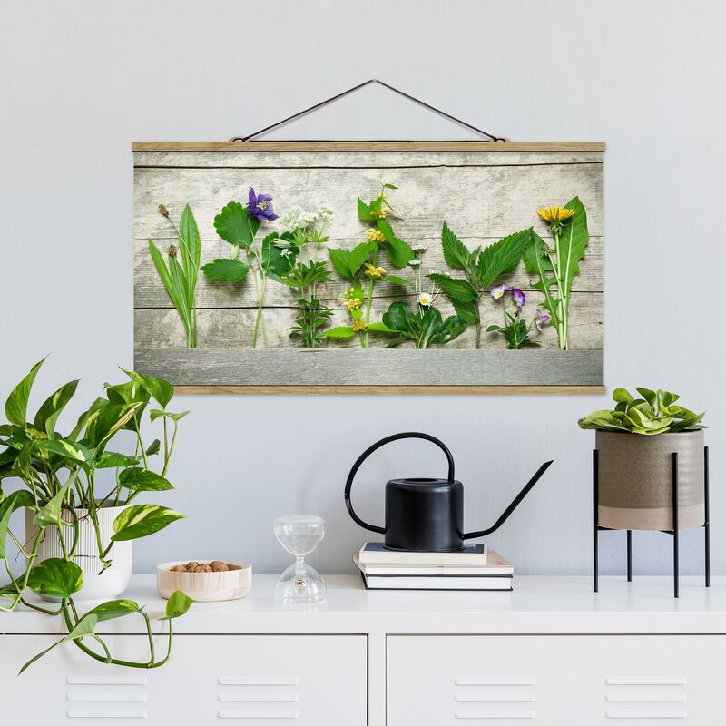 

Imagen de tela - Medicinal And Wild Herbs - Apaisado 1:2 Dimensión LxA: 50cm x 100cm