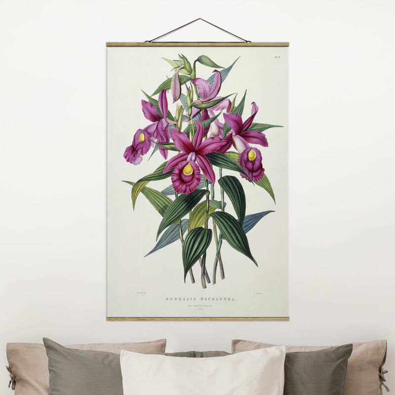 

Imagen de tela - Maxim Gauci - Orchid I - Alto 3:2 Dimensión LxA: 150cm x 100cm