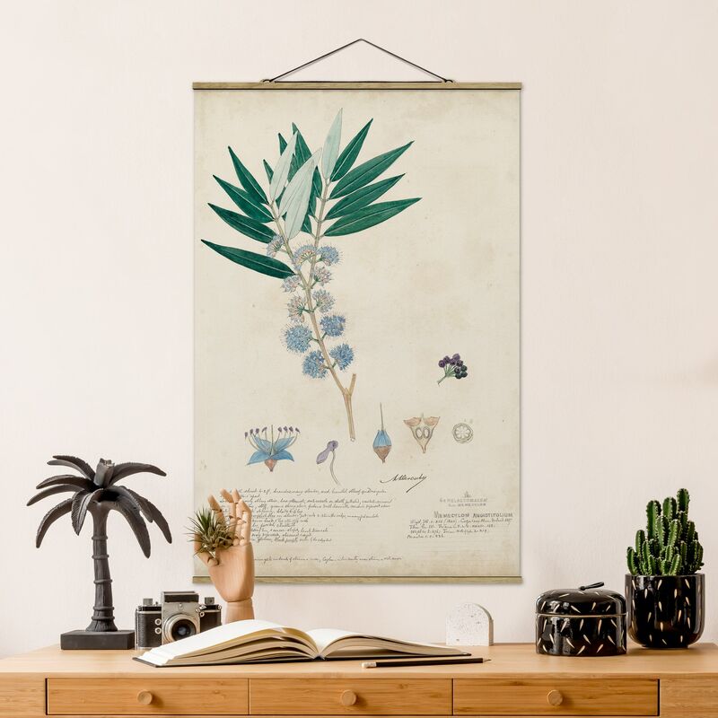

Imagen de tela - Melastomataceae - Angustifolium - Alto 3:2 Dimensión LxA: 52.5cm x 35cm