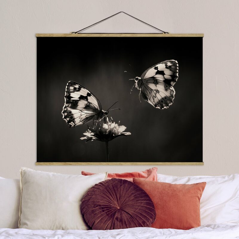 

Imagen de tela - Medioluto Norte - Apaisado 3:4 Dimensión LxA: 37.5cm x 50cm