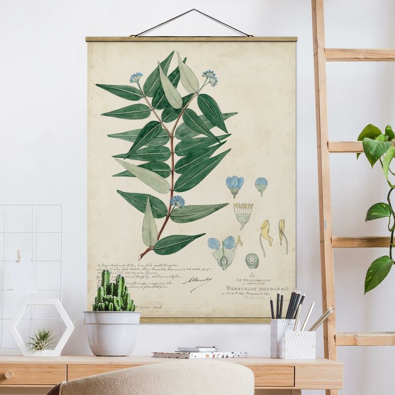 

Imagen de tela - Melastomataceae - Amabile - Alto 4:3 Dimensión LxA: 133.5cm x 100cm