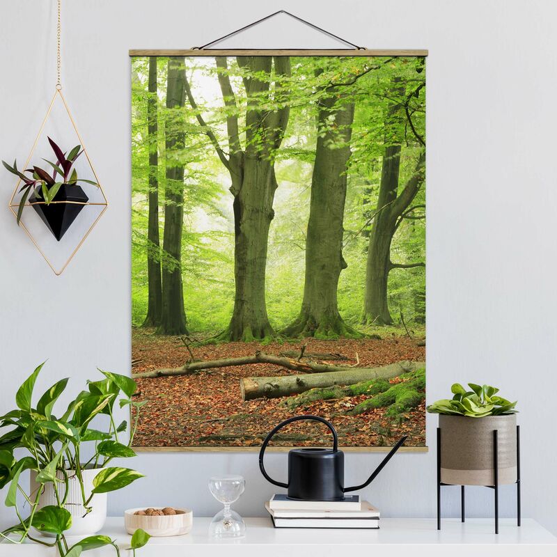 

Imagen de tela - Mighty Beech Trees - Alto 4:3 Dimensión LxA: 133.5cm x 100cm