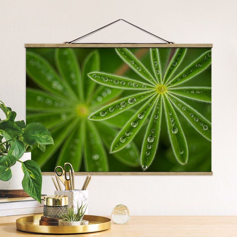 

Imagen de tela - Morning Dew On Lupine Leaves - Apaisado 2:3 Dimensión LxA: 33.5cm x 50cm