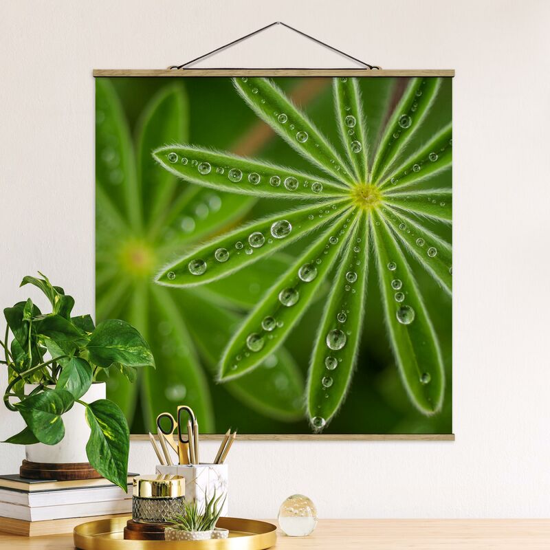 

Imagen de tela - Morning Dew On Lupine Leaves - Cuadrado 1:1 Dimensión LxA: 100cm x 100cm