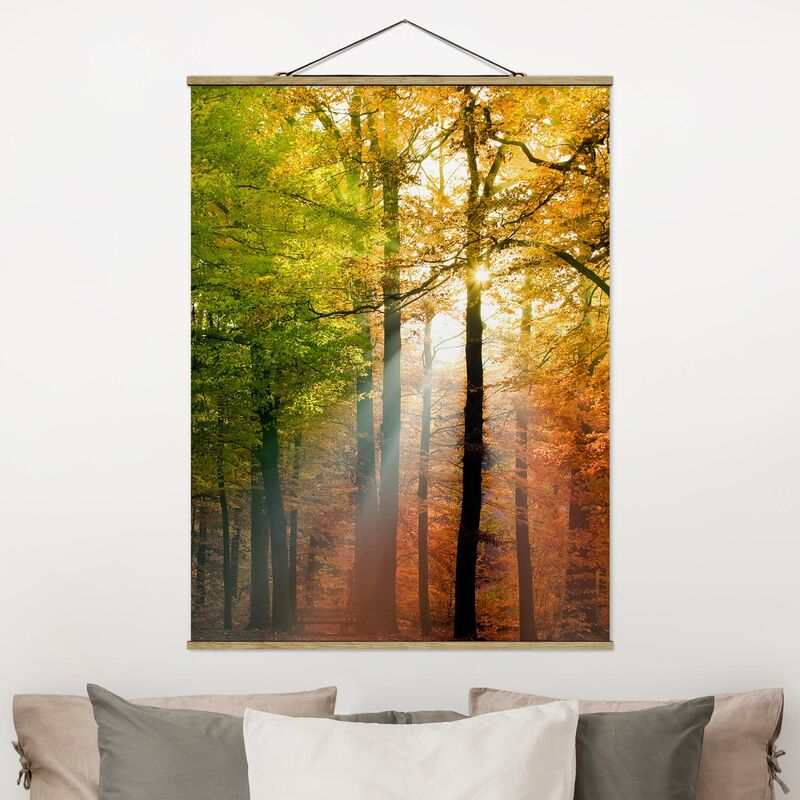 

Imagen de tela - Morning Light - Alto 4:3 Dimensión LxA: 133.5cm x 100cm