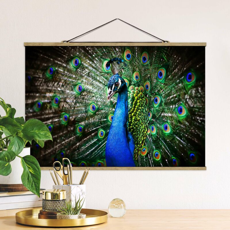 

Imagen de tela - Noble Peacock - Apaisado 2:3 Dimensión LxA: 66.5cm x 100cm