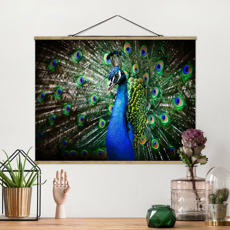 

Imagen de tela - Noble Peacock - Apaisado 3:4 Dimensión LxA: 60cm x 80cm
