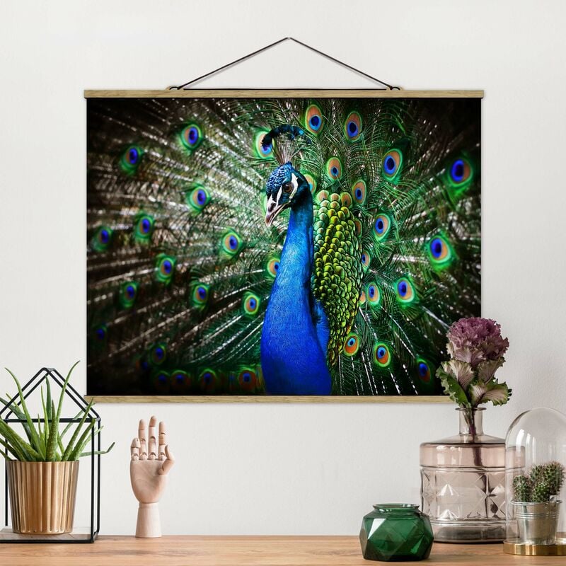 

Imagen de tela - Noble Peacock - Apaisado 3:4 Dimensión LxA: 26cm x 35cm