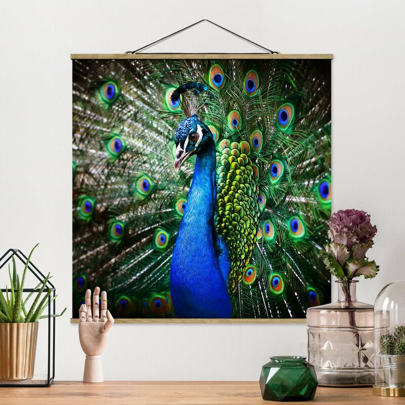 

Imagen de tela - Noble Peacock - Cuadrado 1:1 Dimensión LxA: 50cm x 50cm