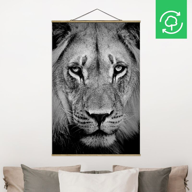 

Imagen de tela - Old Lion - Alto 3:2 Dimensión LxA: 120cm x 80cm