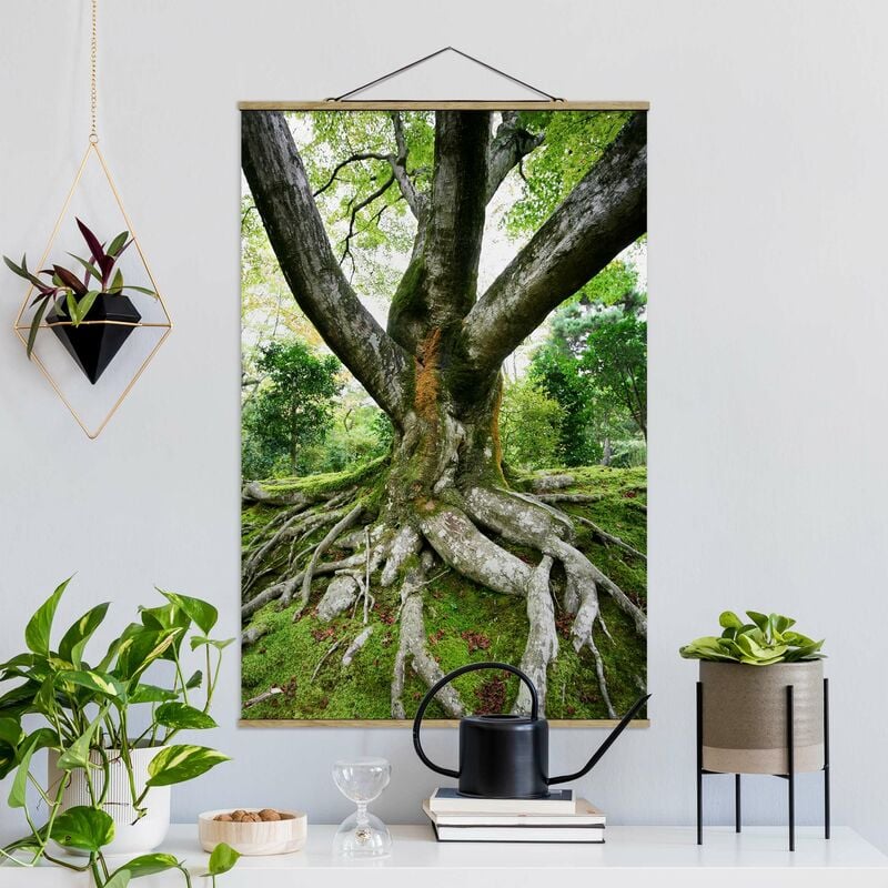 

Imagen de tela - Old Tree - Alto 3:2 Dimensión LxA: 52.5cm x 35cm