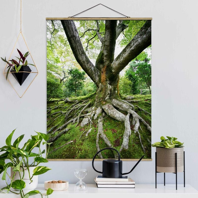 

Imagen de tela - Old Tree - Alto 4:3 Dimensión LxA: 46.5cm x 35cm