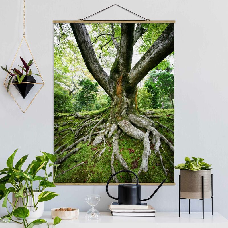 

Imagen de tela - Old Tree - Alto 4:3 Dimensión LxA: 106.5cm x 80cm