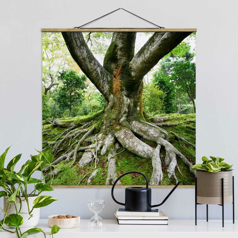 

Imagen de tela - Old Tree - Cuadrado 1:1 Dimensión LxA: 80cm x 80cm