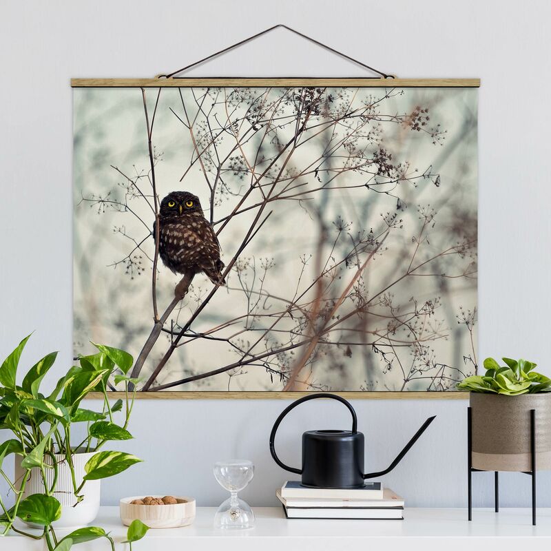 

Imagen de tela - Owl In Winter - Apaisado 3:4 Dimensión LxA: 75cm x 100cm