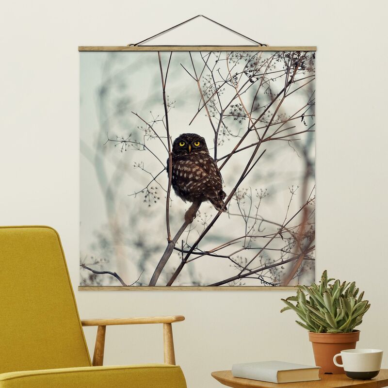 

Imagen de tela - Owl In Winter - Cuadrado 1:1 Dimensión LxA: 100cm x 100cm