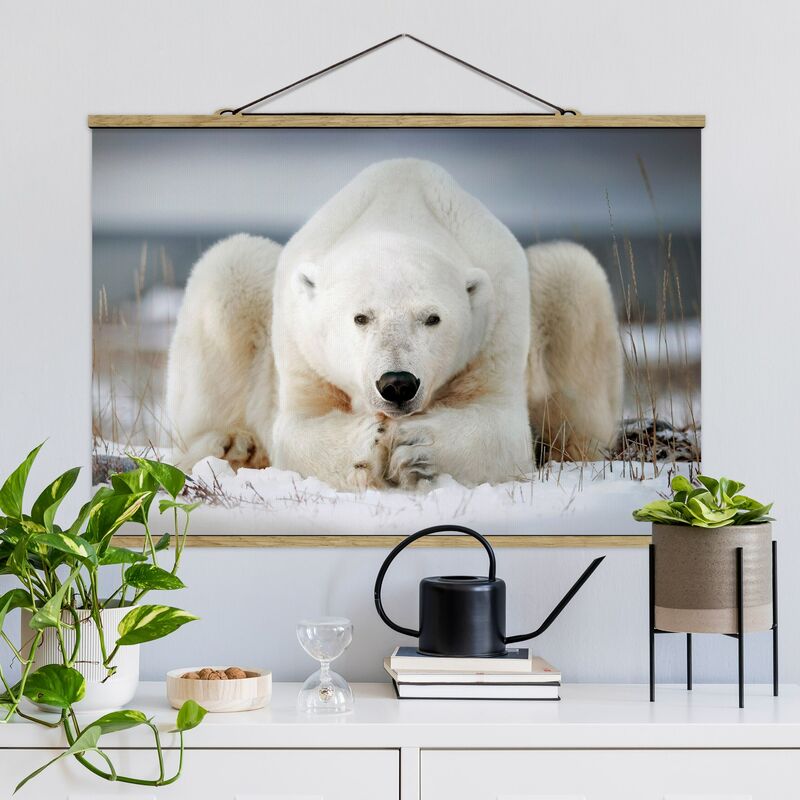 

Imagen de tela - Pensive Polar Bear - Apaisado 2:3 Dimensión LxA: 53.5cm x 80cm