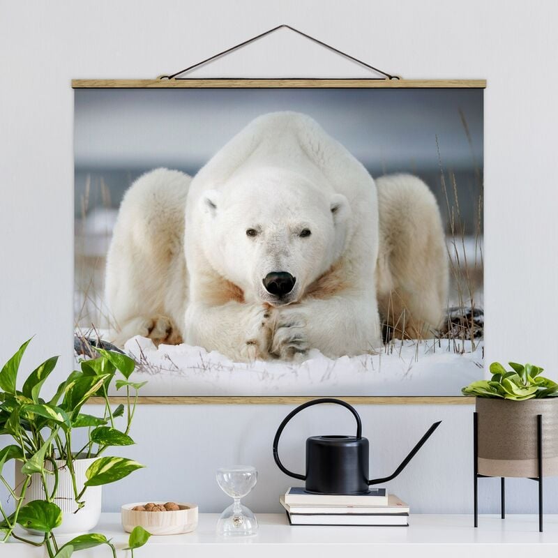 

Imagen de tela - Pensive Polar Bear - Apaisado 3:4 Dimensión LxA: 37.5cm x 50cm