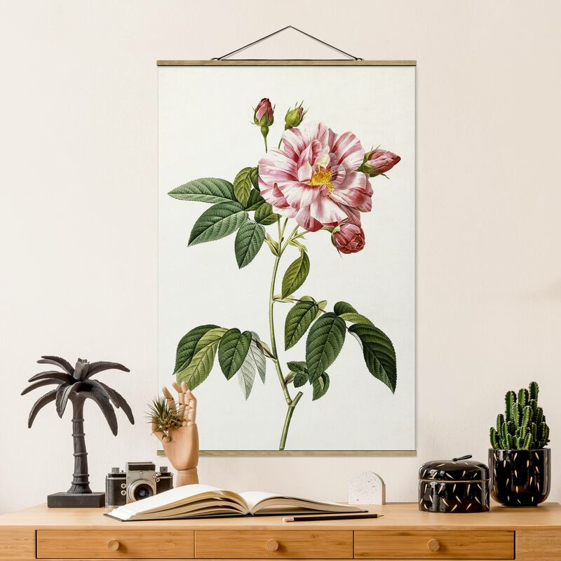 

Imagen de tela - Pierre Joseph Redoute - Rosa Gallica Rose - Alto 3:2 Dimensión LxA: 120cm x 80cm