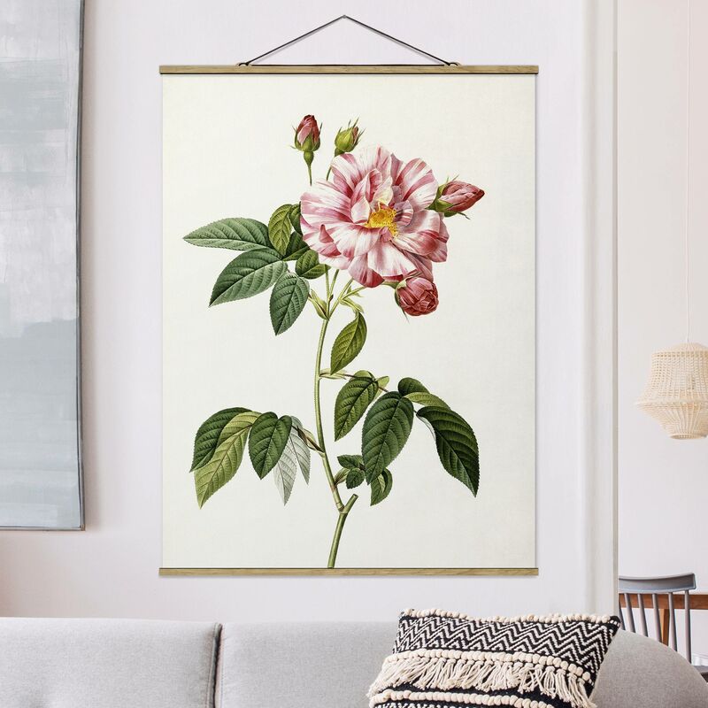 

Imagen de tela - Pierre Joseph Redoute - Rosa Gallica Rose - Alto 4:3 Dimensión LxA: 133.5cm x 100cm