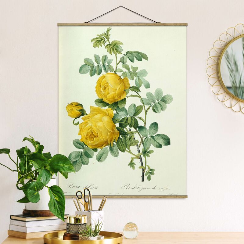 

Imagen de tela - Pierre Joseph Redoute - Rosa Sulfurea - Alto 4:3 Dimensión LxA: 106.5cm x 80cm