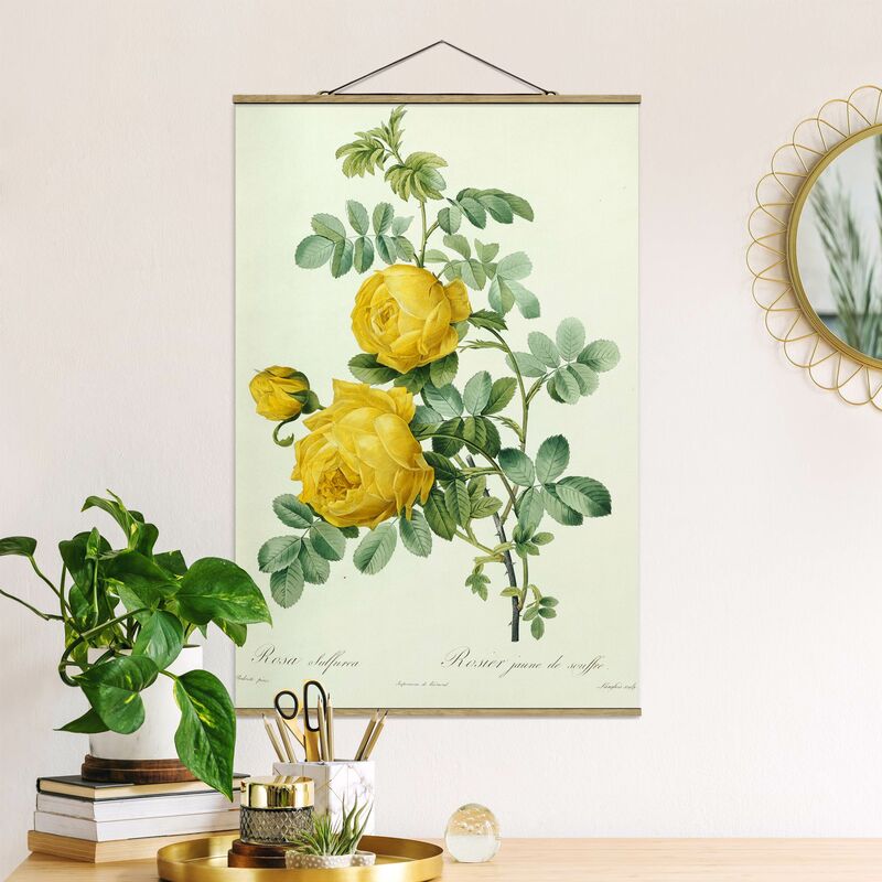 

Imagen de tela - Pierre Joseph Redoute - Rosa Sulfurea - Alto 3:2 Dimensión LxA: 120cm x 80cm