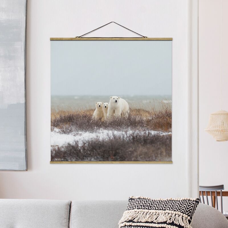

Imagen de tela - Polar Bear And Her Cubs - Cuadrado 1:1 Dimensión LxA: 80cm x 80cm