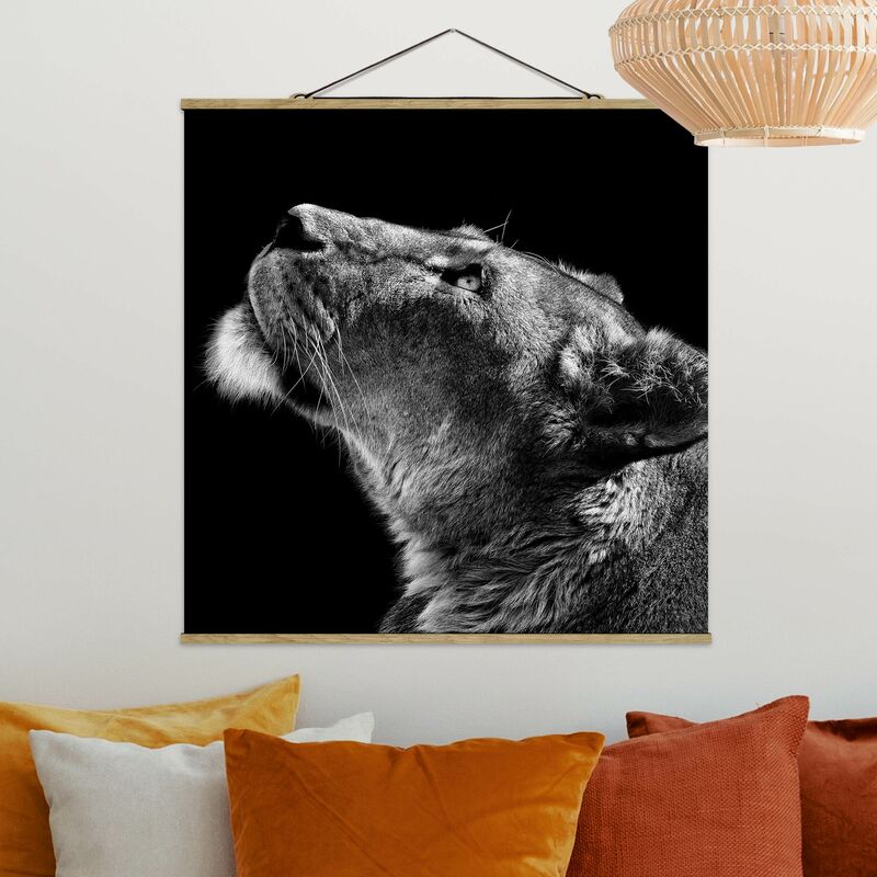 

Imagen de tela - Portrait Of A Lioness - Cuadrado 1:1 Dimensión LxA: 80cm x 80cm