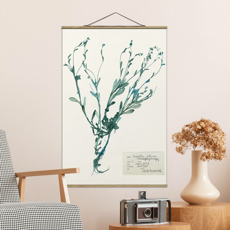 

Imagen de tela - Pressed Flowers - Forget Me Not - Alto 3:2 Dimensión LxA: 150cm x 100cm