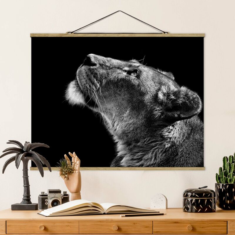 

Imagen de tela - Portrait Of A Lioness - Apaisado 3:4 Dimensión LxA: 60cm x 80cm