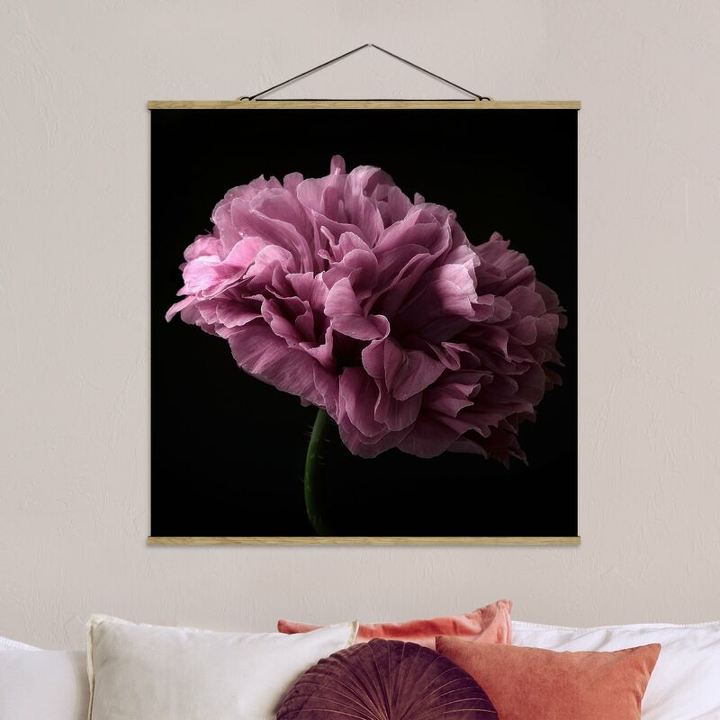 

Imagen de tela - Proud Peony In Front Of Black - Cuadrado 1:1 Dimensión LxA: 50cm x 50cm