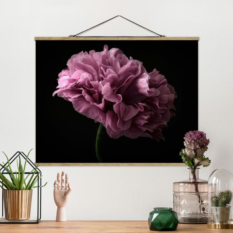 

Imagen de tela - Proud Peony In Front Of Black - Apaisado 3:4 Dimensión LxA: 75cm x 100cm