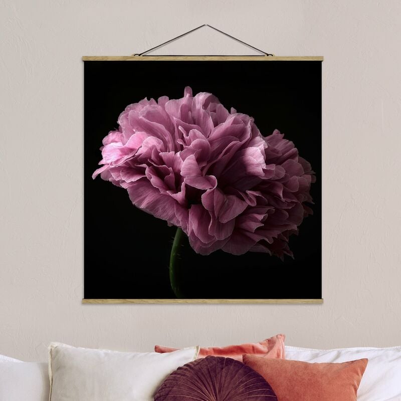 

Imagen de tela - Proud Peony In Front Of Black - Cuadrado 1:1 Dimensión LxA: 100cm x 100cm