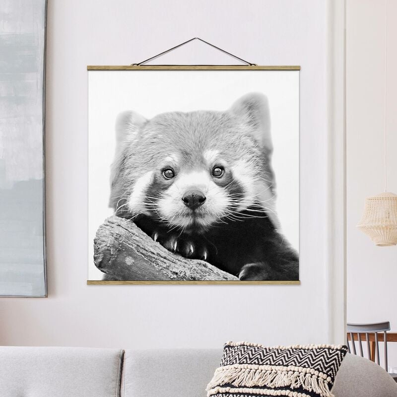 

Imagen de tela - Red Panda In Black And White - Cuadrado 1:1 Dimensión LxA: 80cm x 80cm