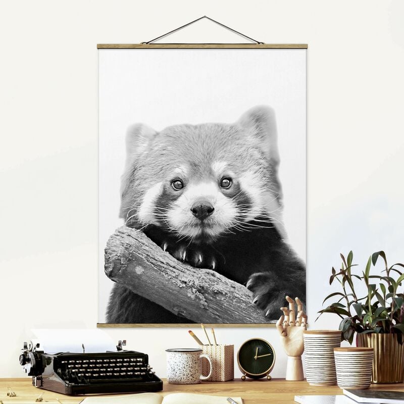 

Imagen de tela - Red Panda In Black And White - Alto 4:3 Dimensión LxA: 133.5cm x 100cm