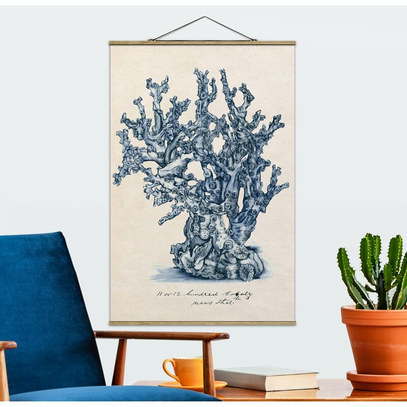 

Imagen de tela - Sea Corals Study II - Alto 3:2 Dimensión LxA: 150cm x 100cm