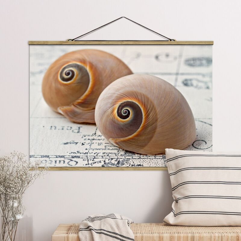 

Imagen de tela - Shell Duo - Apaisado 2:3 Dimensión LxA: 23.5cm x 35cm